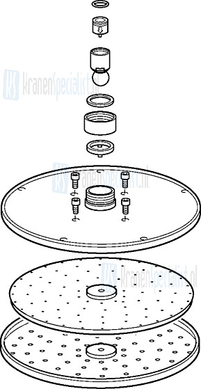 Hansa Brausekopf Viva D200Mm Kpl. 59913747